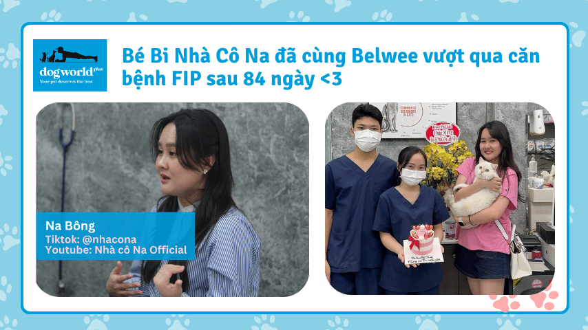 Be Bi Nha Co Na chua FIP thanh cong