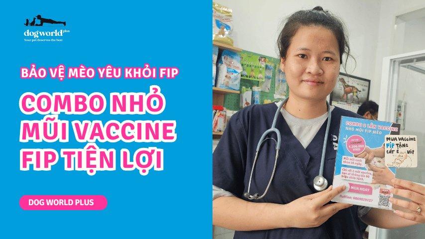 Combo vaccine FIP meo