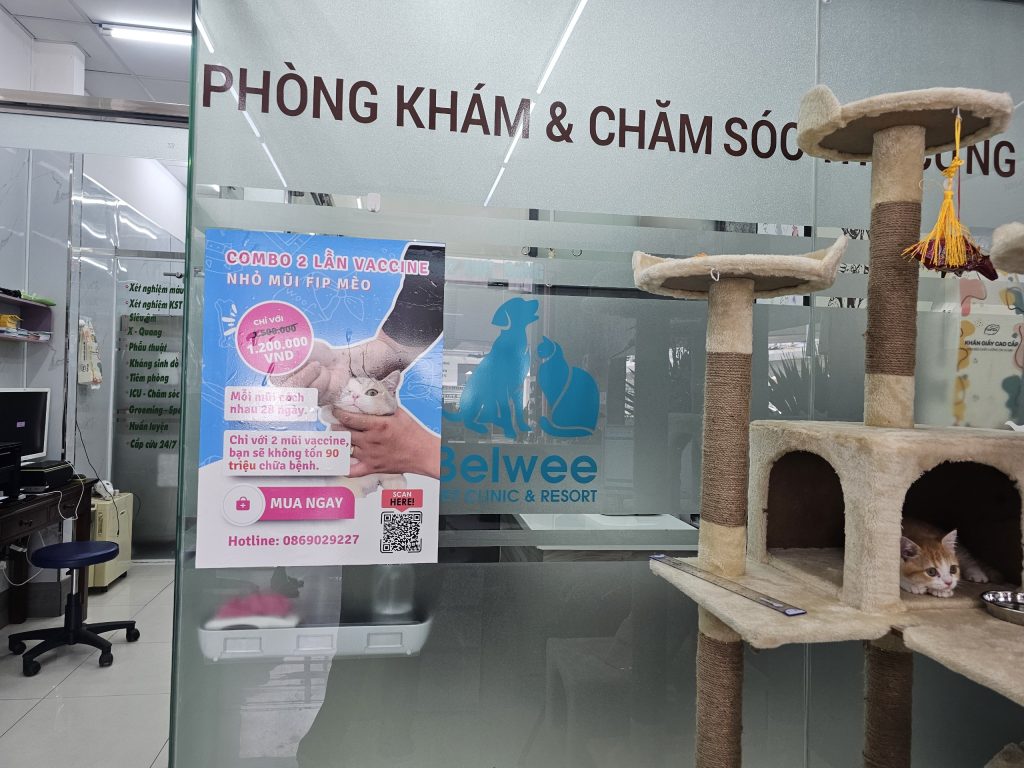 tu-van-tiem-vaccine-cho-meo