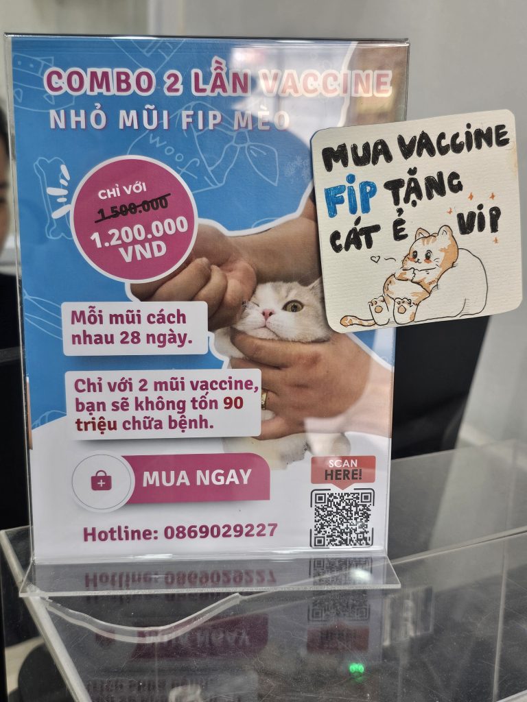 Combo vaccine FIP meo belwee hang xanh